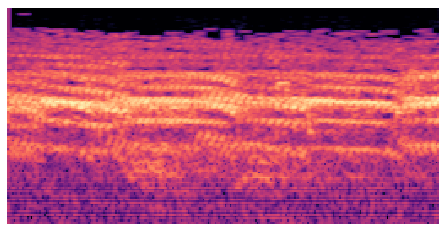 Animated GIF of spectrograms generated from the calls of the golden-capped parakeet